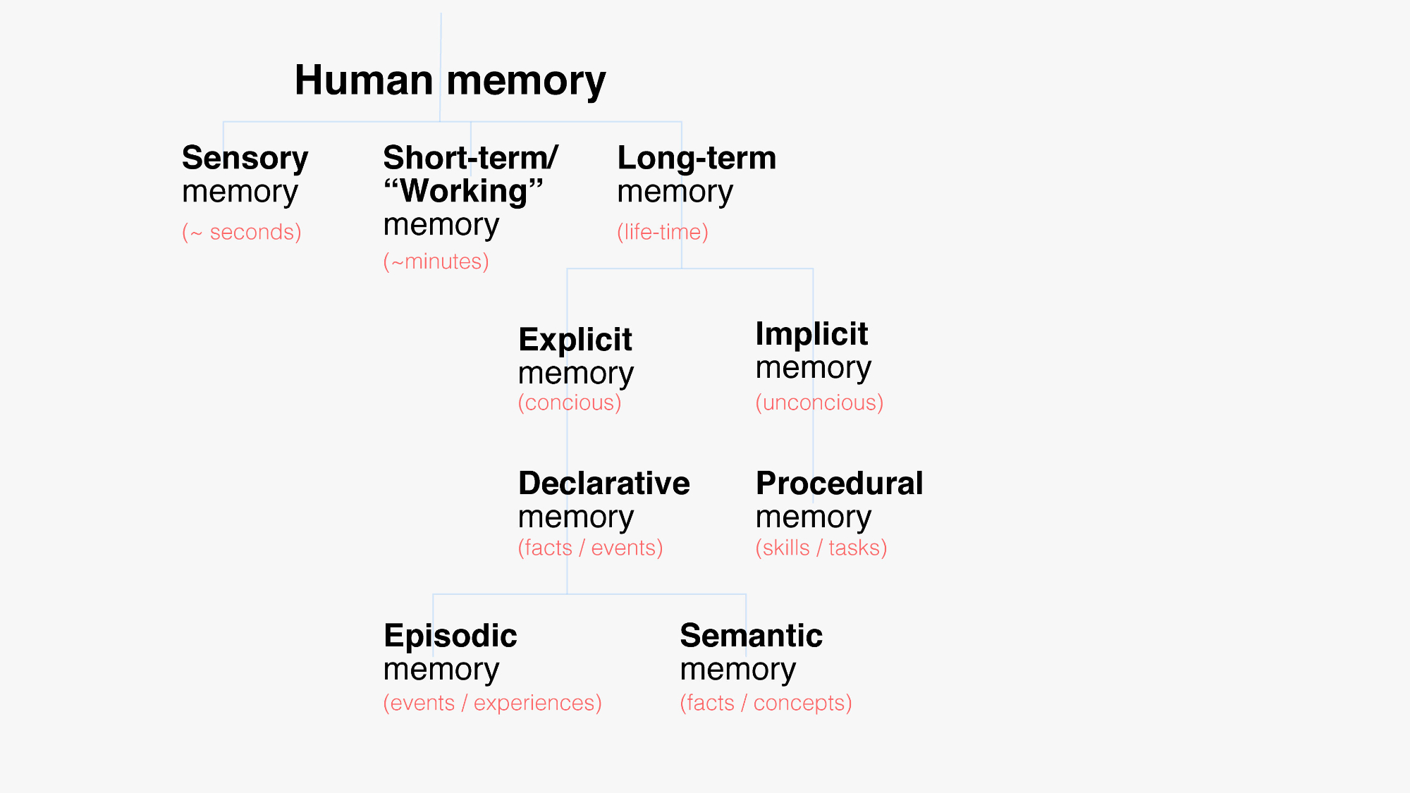 Human memory diagram